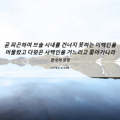 Picture 06 - 사무엘상 30:10 KOR - 곧 피곤하여 브솔 시내를 건너지 - Bible Verse Picture