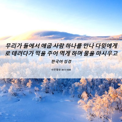 Picture 06 - 사무엘상 30:11 KOR - 무리가 들에서 애굽 사람 하나를 - Bible Verse Picture