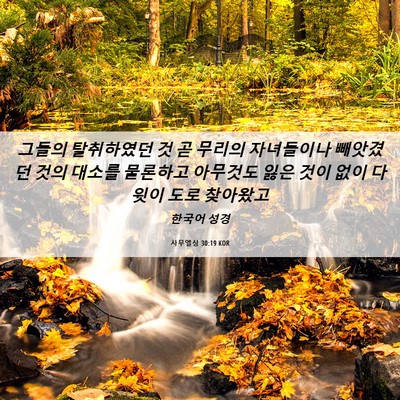 Picture 06 - 사무엘상 30:19 KOR - 그들의 탈취하였던 것 곧 무리의 - Bible Verse Picture