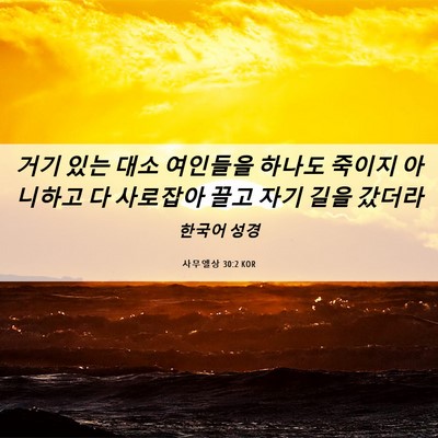 Picture 06 - 사무엘상 30:2 KOR - 거기 있는 대소 여인들을 하나도 - Bible Verse Picture