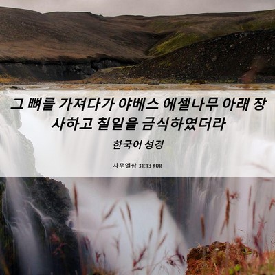 Picture 06 - 사무엘상 31:13 KOR - 그 뼈를 가져다가 야베스 에셀나무 - Bible Verse Picture
