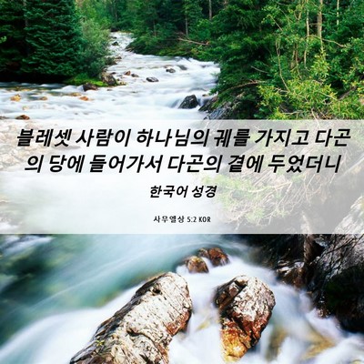 Picture 06 - 사무엘상 5:2 KOR - 블레셋 사람이 하나님의 궤를 가지고 - Bible Verse Picture
