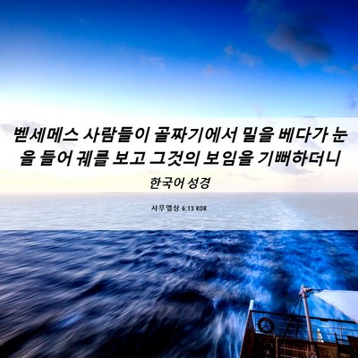 Picture 06 - 사무엘상 6:13 KOR - 벧세메스 사람들이 골짜기에서 밀을 - Bible Verse Picture