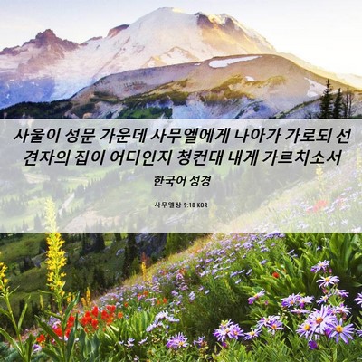 Picture 06 - 사무엘상 9:18 KOR - 사울이 성문 가운데 사무엘에게 - Bible Verse Picture
