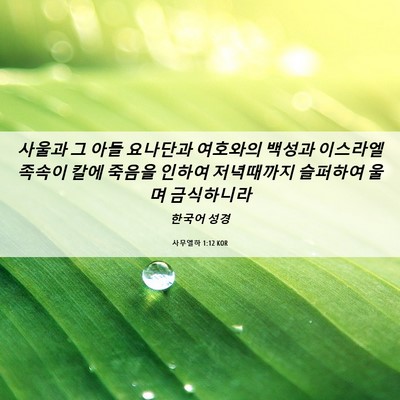 Picture 06 - 사무엘하 1:12 KOR - 사울과 그 아들 요나단과 여호와의 - Bible Verse Picture
