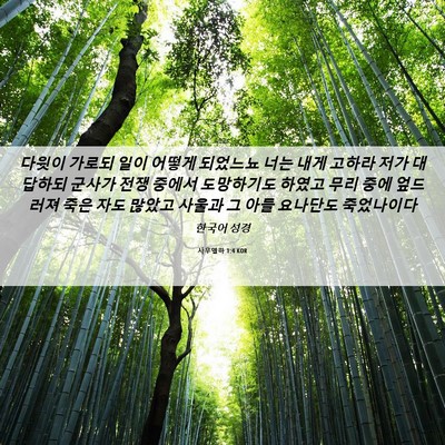 Picture 06 - 사무엘하 1:4 KOR - 다윗이 가로되 일이 어떻게 되었느뇨 - Bible Verse Picture
