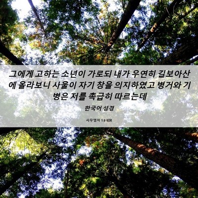 Picture 06 - 사무엘하 1:6 KOR - 그에게 고하는 소년이 가로되 내가 - Bible Verse Picture