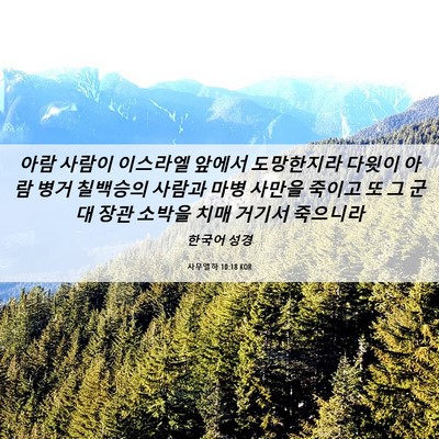 Picture 06 - 사무엘하 10:18 KOR - 아람 사람이 이스라엘 앞에서 - Bible Verse Picture