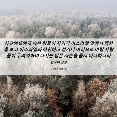 Picture 06 - 사무엘하 10:19 KOR - 하닷에셀에게 속한 왕들이 자기가 - Bible Verse Picture