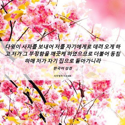 Picture 06 - 사무엘하 11:4 KOR - 다윗이 사자를 보내어 저를 - Bible Verse Picture