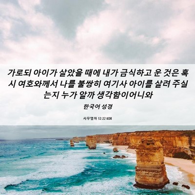 Picture 06 - 사무엘하 12:22 KOR - 가로되 아이가 살았을 때에 내가 - Bible Verse Picture