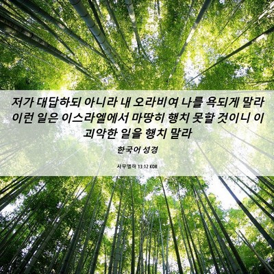 Picture 06 - 사무엘하 13:12 KOR - 저가 대답하되 아니라 내 오라비여 - Bible Verse Picture