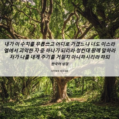 Picture 06 - 사무엘하 13:13 KOR - 내가 이 수치를 무릅쓰고 어디로 - Bible Verse Picture