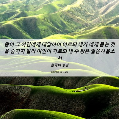 Picture 06 - 사무엘하 14:18 KOR - 왕이 그 여인에게 대답하여 이르되 - Bible Verse Picture