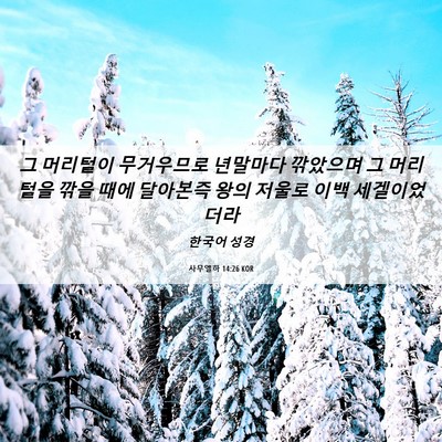 Picture 06 - 사무엘하 14:26 KOR - 그 머리털이 무거우므로 년말마다 - Bible Verse Picture