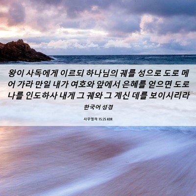 Picture 06 - 사무엘하 15:25 KOR - 왕이 사독에게 이르되 하나님의 궤를 - Bible Verse Picture