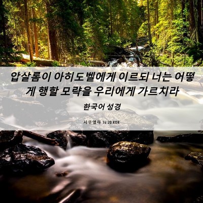 Picture 06 - 사무엘하 16:20 KOR - 압살롬이 아히도벨에게 이르되 너는 - Bible Verse Picture