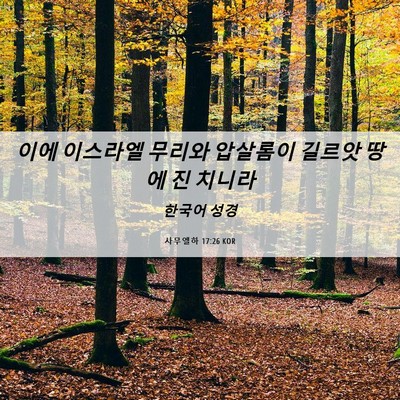 Picture 06 - 사무엘하 17:26 KOR - 이에 이스라엘 무리와 압살롬이 - Bible Verse Picture