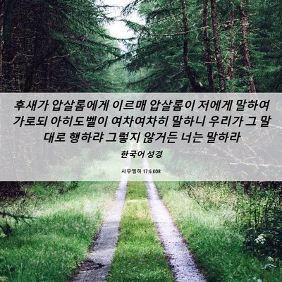 Picture 06 - 사무엘하 17:6 KOR - 후새가 압살롬에게 이르매 압살롬이 - Bible Verse Picture