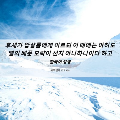 Picture 06 - 사무엘하 17:7 KOR - 후새가 압살롬에게 이르되 이 때에는 - Bible Verse Picture