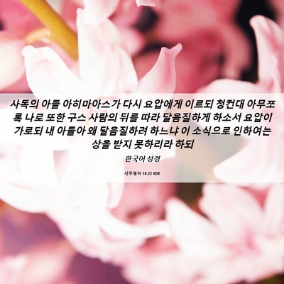 Picture 06 - 사무엘하 18:22 KOR - 사독의 아들 아히마아스가 다시 - Bible Verse Picture