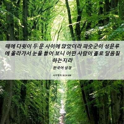 Picture 06 - 사무엘하 18:24 KOR - 때에 다윗이 두 문 사이에 앉았더라 - Bible Verse Picture