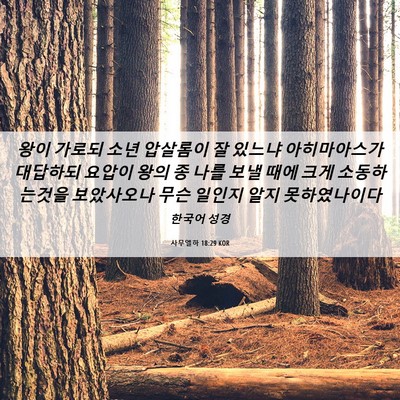 Picture 06 - 사무엘하 18:29 KOR - 왕이 가로되 소년 압살롬이 잘 - Bible Verse Picture
