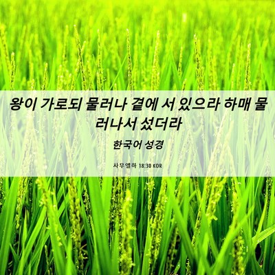 Picture 06 - 사무엘하 18:30 KOR - 왕이 가로되 물러나 곁에 서 있으라 - Bible Verse Picture