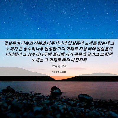 Picture 06 - 사무엘하 18:9 KOR - 압살롬이 다윗의 신복과 마주치니라 - Bible Verse Picture