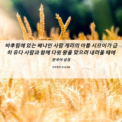 Picture 06 - 사무엘하 19:16 KOR - 바후림에 있는 베냐민 사람 게라의 - Bible Verse Picture