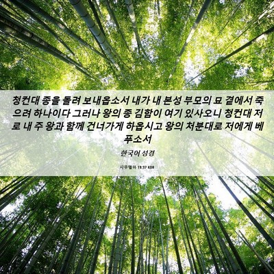 Picture 06 - 사무엘하 19:37 KOR - 청컨대 종을 돌려 보내옵소서 내가 - Bible Verse Picture