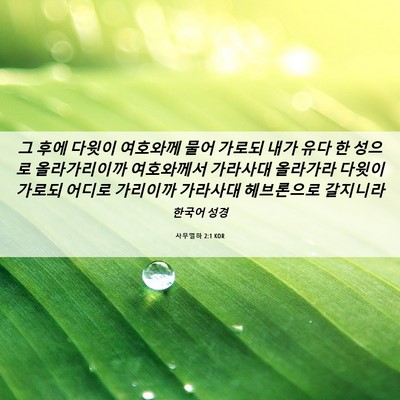 Picture 06 - 사무엘하 2:1 KOR - 그 후에 다윗이 여호와께 물어 - Bible Verse Picture