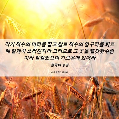 Picture 06 - 사무엘하 2:16 KOR - 각기 적수의 머리를 잡고 칼로 - Bible Verse Picture