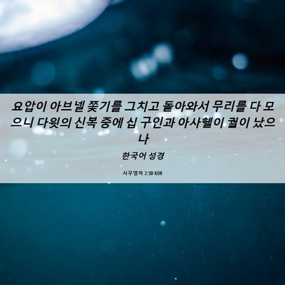 Picture 06 - 사무엘하 2:30 KOR - 요압이 아브넬 쫓기를 그치고 - Bible Verse Picture
