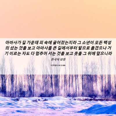 Picture 06 - 사무엘하 20:12 KOR - 아마사가 길 가운데 피 속에 - Bible Verse Picture