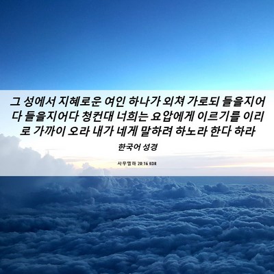 Picture 06 - 사무엘하 20:16 KOR - 그 성에서 지혜로운 여인 하나가 - Bible Verse Picture