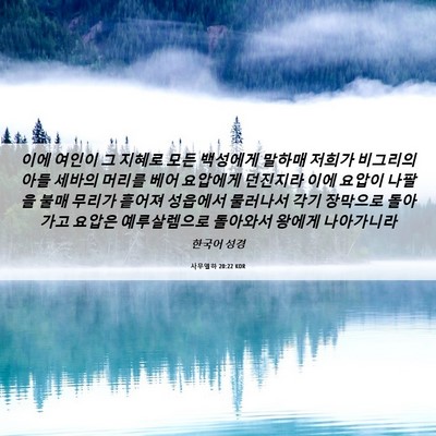 Picture 06 - 사무엘하 20:22 KOR - 이에 여인이 그 지혜로 모든 - Bible Verse Picture