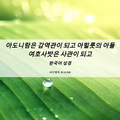 Picture 06 - 사무엘하 20:24 KOR - 아도니람은 감역관이 되고 아힐룻의 - Bible Verse Picture