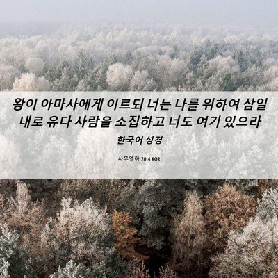 Picture 06 - 사무엘하 20:4 KOR - 왕이 아마사에게 이르되 너는 나를 - Bible Verse Picture