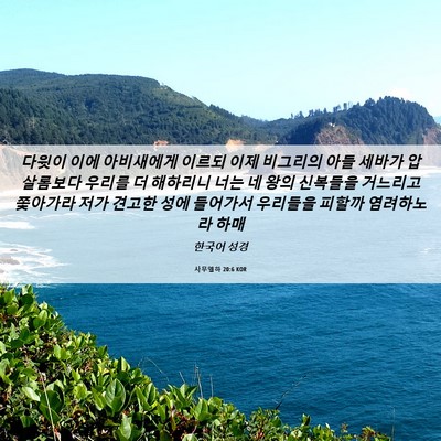 Picture 06 - 사무엘하 20:6 KOR - 다윗이 이에 아비새에게 이르되 이제 - Bible Verse Picture