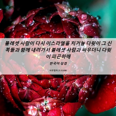 Picture 06 - 사무엘하 21:15 KOR - 블레셋 사람이 다시 이스라엘을 - Bible Verse Picture