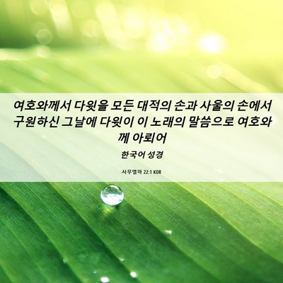 Picture 06 - 사무엘하 22:1 KOR - 여호와께서 다윗을 모든 대적의 손과 - Bible Verse Picture