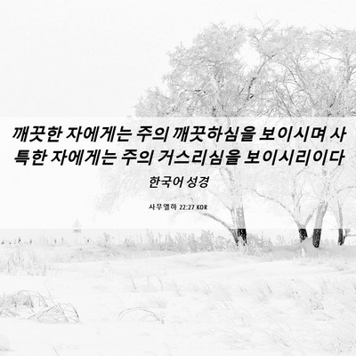 Picture 06 - 사무엘하 22:27 KOR - 깨끗한 자에게는 주의 깨끗하심을 - Bible Verse Picture