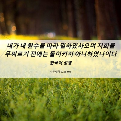 Picture 06 - 사무엘하 22:38 KOR - 내가 내 원수를 따라 멸하였사오며 - Bible Verse Picture