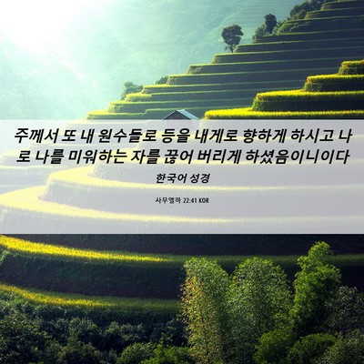 Picture 06 - 사무엘하 22:41 KOR - 주께서 또 내 원수들로 등을 내게로 - Bible Verse Picture