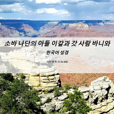 Picture 06 - 사무엘하 23:36 KOR - 소바 나단의 아들 이갈과 갓 사람 - Bible Verse Picture