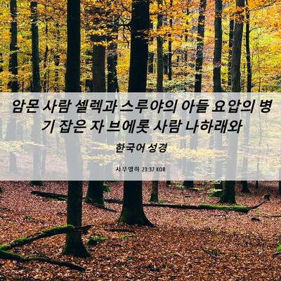 Picture 06 - 사무엘하 23:37 KOR - 암몬 사람 셀렉과 스루야의 아들 - Bible Verse Picture
