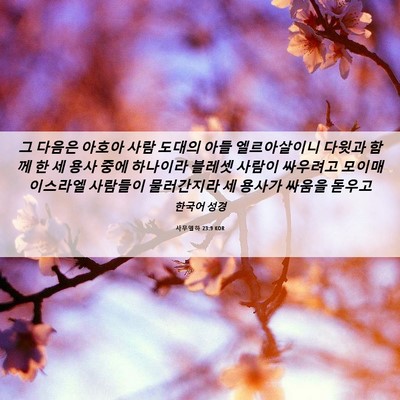 Picture 06 - 사무엘하 23:9 KOR - 그 다음은 아호아 사람 도대의 아들 - Bible Verse Picture