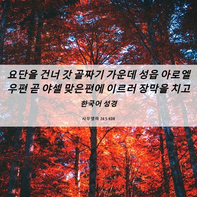 Picture 06 - 사무엘하 24:5 KOR - 요단을 건너 갓 골짜기 가운데 성읍 - Bible Verse Picture