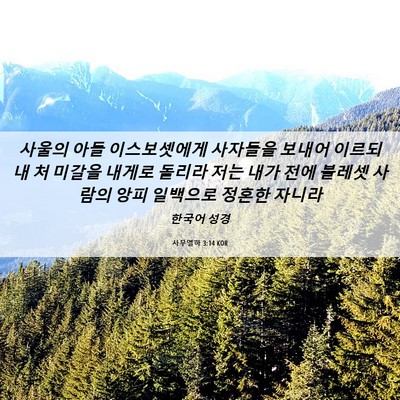 Picture 06 - 사무엘하 3:14 KOR - 사울의 아들 이스보셋에게 사자들을 - Bible Verse Picture